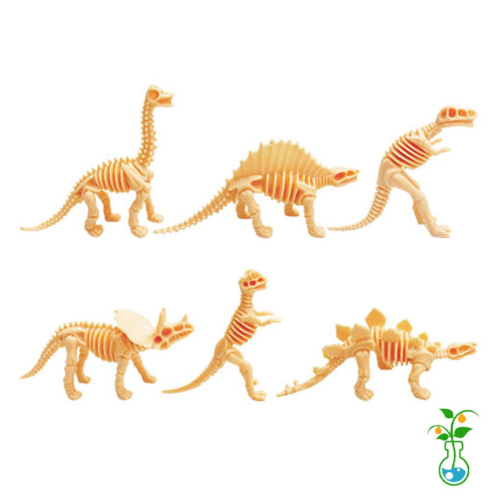 귀여운 미니 공룡뼈 6종세트