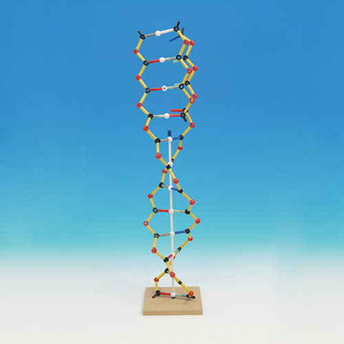 DNA-RNA 키트궤도