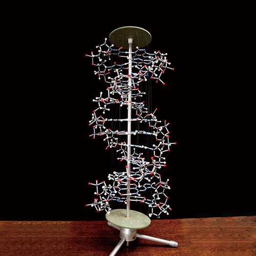 DNA 프로뷰 모델 궤도